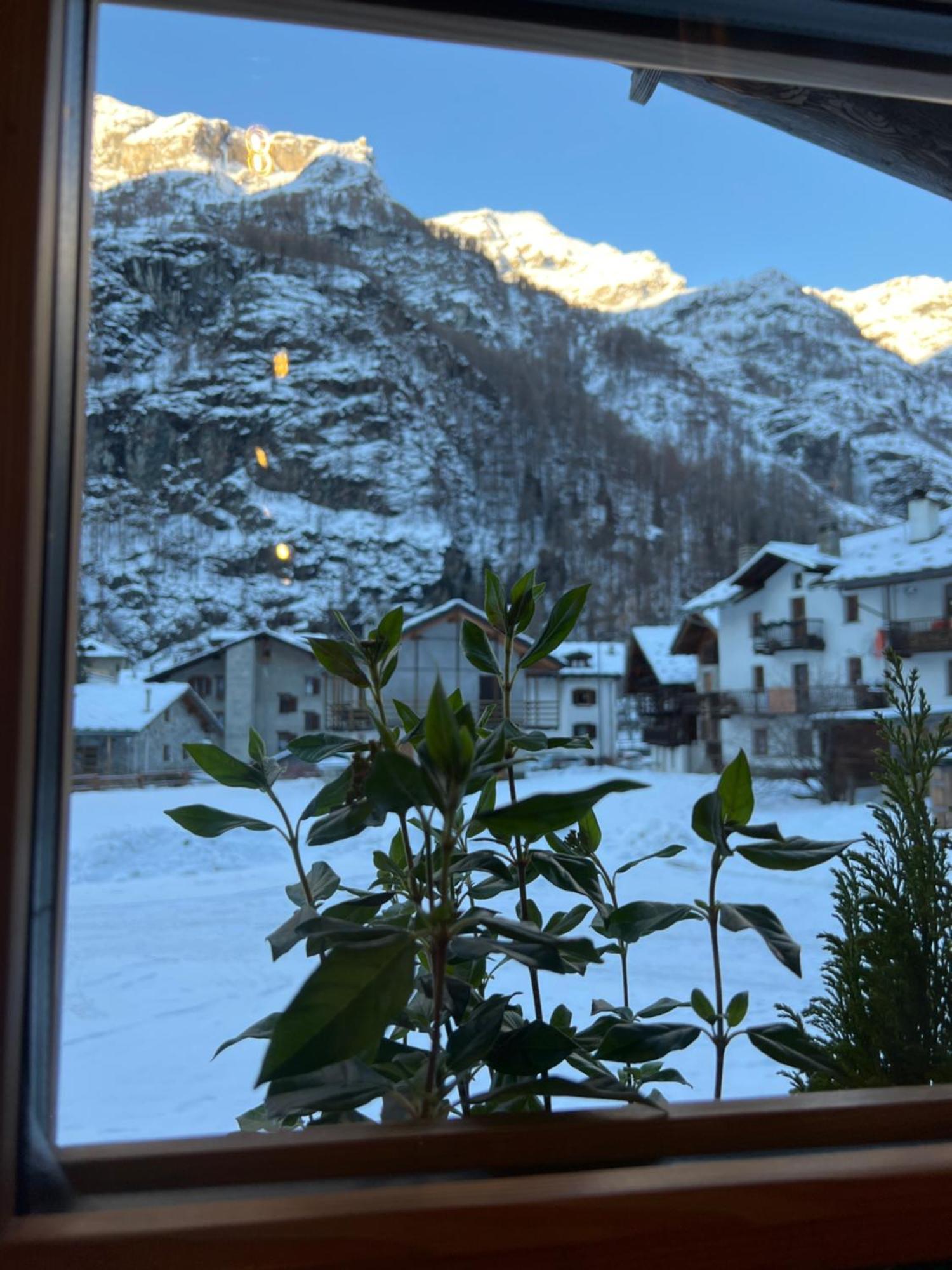 Wongade Ξενοδοχείο Gressoney-la-Trinité Εξωτερικό φωτογραφία