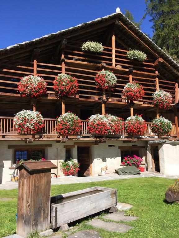 Wongade Ξενοδοχείο Gressoney-la-Trinité Εξωτερικό φωτογραφία