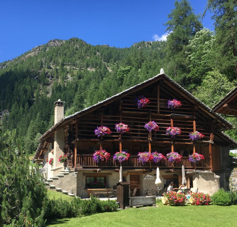 Wongade Ξενοδοχείο Gressoney-la-Trinité Εξωτερικό φωτογραφία